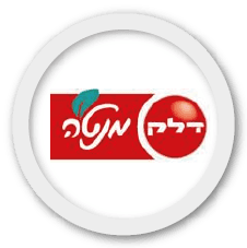 דלק מוטורס